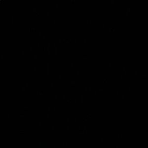 Meet your Posher, Danica